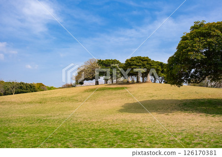 Chiba Port Park, Observation Hill, Chuo Ward, Chiba City 126170381