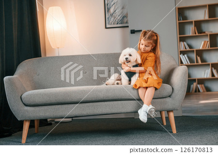 Cute animal is on the sofa. Little girl is with maltese dog indoors in domestic room Cute animal is on the sofa. Little girl is with maltese dog indoors in domestic room 126170813
