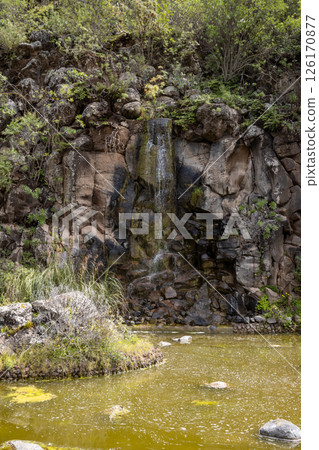 Botanic garden Cabildo de Gran Canaria, Spain 126170877