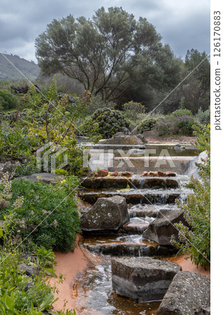 Botanic garden Cabildo de Gran Canaria, Spain 126170883