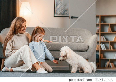 Playing with pet. Mother with daughter is at home with maltese dog 126170889