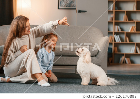 Playing with pet. Mother with daughter is at home with maltese dog 126170892