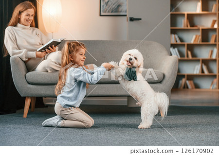 Woman is on the sofa with book. Mother with daughter is at home with maltese dog 126170902