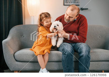 Embracing the animal. Man is taking care of his maltese dog. Girl is sitting on the sofa 126170998