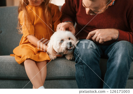 Front view. Man is taking care of his maltese dog. Girl is sitting on the sofa Front view. Man is taking care of his maltese dog. Girl is sitting on the sofa 126171003