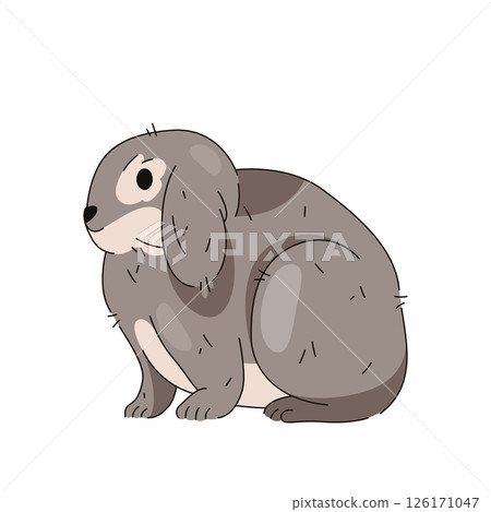 Wildlife gray rabbit or grey easter bunny. Vector forest hare or wildlife wood animal. Spring holiday domestic mammal or countryside herbivore pet. Wood fauna or nature, biology and zoology card. Wildlife gray rabbit or grey easter bunny. Vector forest hare or wildlife wood animal. Spring holiday domestic mammal or countryside herbivore pet. Wood fauna or nature, biology and zoology card. 126171047