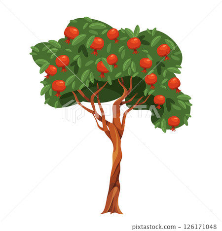 Vector pomegranate tree or fruit plant symbol. Garden wood or orchard nature with edible food. Organic and natural farm, rural landscape element. Agriculture and biology, nature and botany, ecology. Vector pomegranate tree or fruit plant symbol. Garden wood or orchard nature with edible food. Organic and natural farm, rural landscape element. Agriculture and biology, nature and botany, ecology. 126171048
