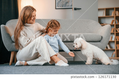 Girl is giving the sweets. Mother with daughter is at home with maltese dog 126171130