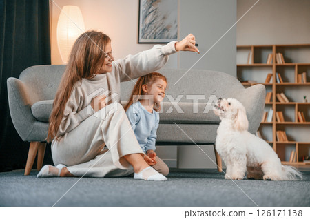 Giving the sweet meal to the animal. Mother with daughter is at home with maltese dog 126171138