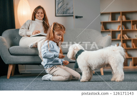 Giving the sweet meal to the animal. Mother with daughter is at home with maltese dog 126171143