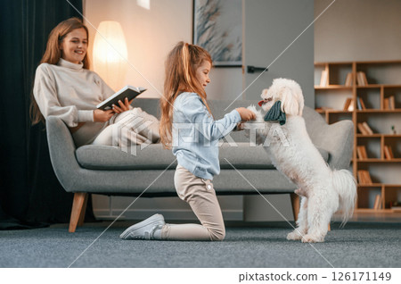Girl is sitting on the ground and playing with pet. Mother with daughter is at home with maltese dog 126171149