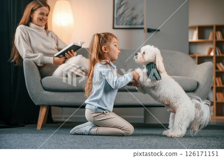 Girl is sitting on the ground and playing with pet. Mother with daughter is at home with maltese dog 126171151