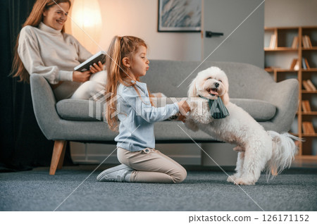 Girl is holding pet by paws. Mother with daughter is at home with maltese dog Girl is holding pet by paws. Mother with daughter is at home with maltese dog 126171152