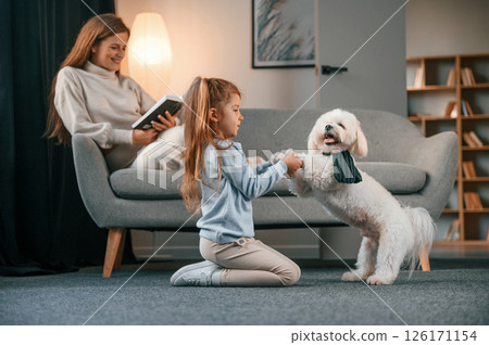 Girl is holding pet by paws. Mother with daughter is at home with maltese dog 126171154