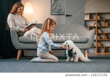 Side view. Girl is playing with her pet. Mother with daughter is at home with maltese dog 126171156