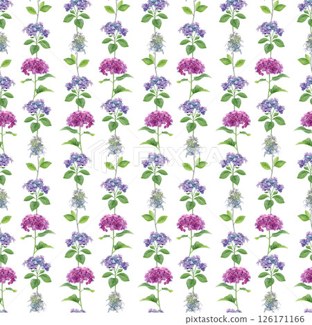 Hydrangea flowers pattern. Watercolor of pink, purple and white flowers isolated on a white background. Good for postcards, invitations, greeting cards, wallpaper, textiles Hydrangea flowers pattern. Watercolor of pink, purple and white flowers isolated on a white background. Good for postcards, invitations, greeting cards, wallpaper, textiles 126171166
