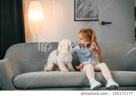 Sitting on the sofa. Little girl is with maltese dog indoors in domestic room Sitting on the sofa. Little girl is with maltese dog indoors in domestic room 126171177