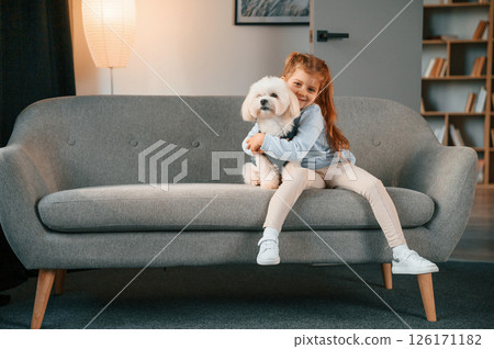 Embracing the animal. Little girl is with maltese dog indoors in domestic room Embracing the animal. Little girl is with maltese dog indoors in domestic room 126171182
