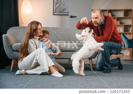 Animal is standing on back legs. Man is playing with maltese dog. Mother with her daughter is watching 126171203