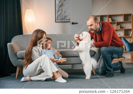 Animal is standing on back legs. Man is playing with maltese dog. Mother with her daughter is watching Animal is standing on back legs. Man is playing with maltese dog. Mother with her daughter is watching 126171204