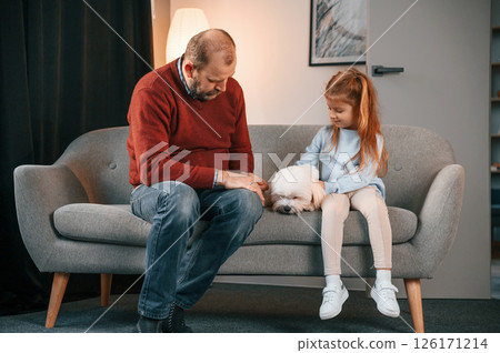Man is taking care of his maltese dog. Girl is sitting on the sofa Man is taking care of his maltese dog. Girl is sitting on the sofa 126171214