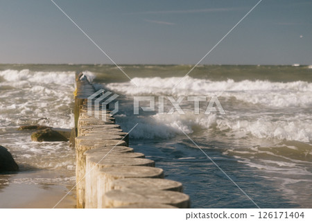 row of logs on beach. pier made of wooden beams on sand.  126171404
