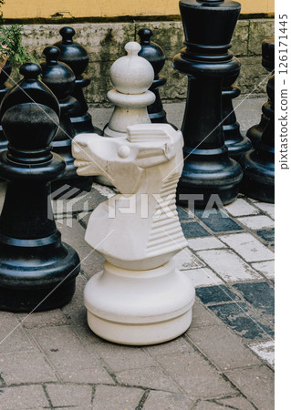 Black and white chess set with white king black pawns is displayed on black white checkered board.  126171445