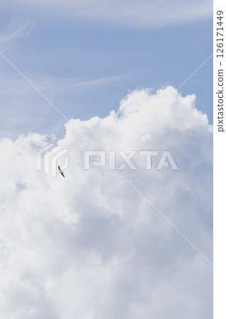 Fluffy white cloud in the blue sky. clear and cloudy weather, possible precipitation, rain. 126171449