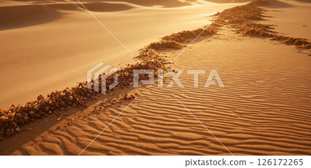 Quantum Desert Acoustics Sound waves visualized in pristine sand creating perfect mathematical patterns in trending ASMR palette without human presence. 126172265