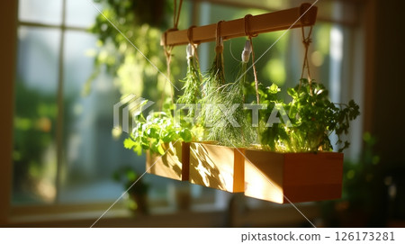 Indoor herb garden hanging in sunlight by the window in a cozy kitchen setting during afternoon hours 126173281