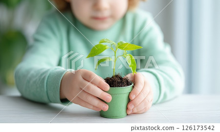 Child Planting a Seedling in a Small Green Pot Indoors 126173542
