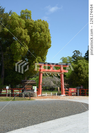 京都市北區上賀茂神社第一鳥居 京都市北區上賀茂神社第一鳥居 126174484