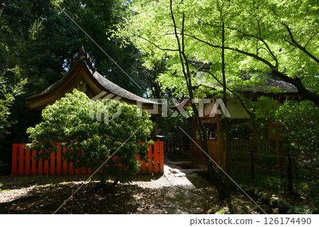 京都市北區上賀茂神社、新綠的賀茂山口神社 京都市北區上賀茂神社、新綠的賀茂山口神社 126174490