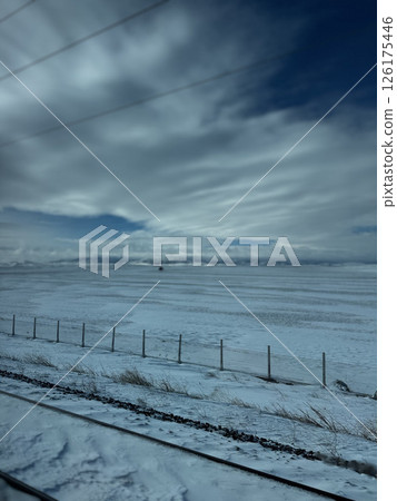 horses in the stable and in the paddock on a walk. High quality photo 126175446