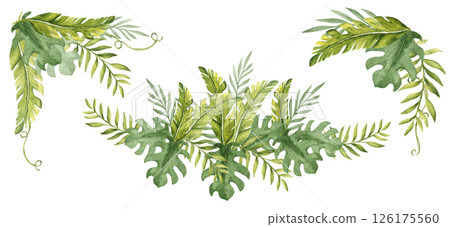 Tropical Leaves Compositions Set. Eucalyptus, Banana Palm and Monstera Watercolor Corners, Bouquet with Liana. Hand drawn botanical illustration isolated on white background. For cards, invitations 126175560