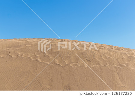 Sand dunes Dunas de Maspalomas, Gran Canaria, Canary Islands Sand dunes Dunas de Maspalomas, Gran Canaria, Canary Islands 126177220