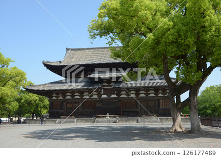 Toji Temple, Kondo Hall with fresh greenery, Kujo-cho, Minami-ku, Kyoto Toji Temple, Kondo Hall with fresh greenery, Kujo-cho, Minami-ku, Kyoto 126177489