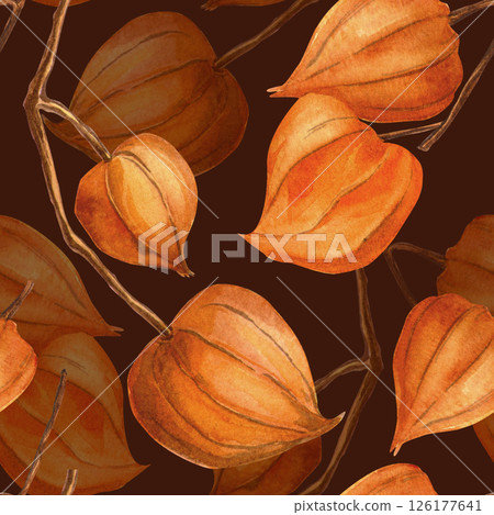Burgundy autumn seamless pattern of physalis in vintage style. Botanical watercolor texture. Elegant fall twig with physalis background. Perfect for seasonal fall decoration, fabrics, wallpaper. Burgundy autumn seamless pattern of physalis in vintage style. Botanical watercolor texture. Elegant fall twig with physalis background. Perfect for seasonal fall decoration, fabrics, wallpaper. 126177641