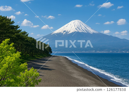 Miho no Matsubara and Mt. Fuji 126177838