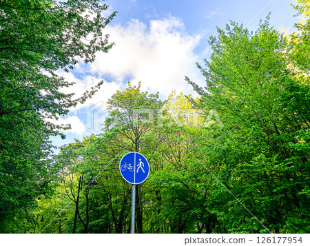Blue sign indicating pedestrian and bicycle paths stands tall amidst lush green trees under a bright sky, symbolizing outdoor recreation and nature-friendly transportation Blue sign indicating pedestrian and bicycle paths stands tall amidst lush green trees under a bright sky, symbolizing outdoor recreation and nature-friendly transportation 126177954