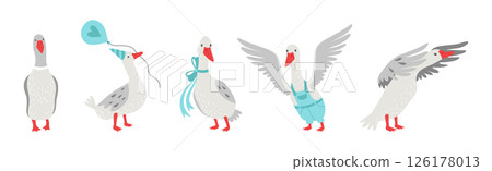 Grey Goose Character in Different Activity Vector Set 126178013
