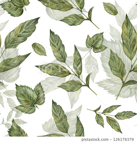 Seamless pattern with watercolor leaves on a sprig of coffee. Hand drawn, isolated on a white background. For prints, cards, textiles, kitchen, invitations 126178379