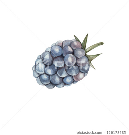 Blackberry, Watercolor illustration of a single berry isolated on a white background. Hand drawn botanical element, perfect for food design, packaging, and kitchen decor. Blackberry, Watercolor illustration of a single berry isolated on a white background. Hand drawn botanical element, perfect for food design, packaging, and kitchen decor. 126178385