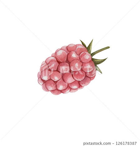 Raspberry, Watercolor illustration of a single berry isolated on a white background. Hand drawn botanical element, perfect for food design, packaging, and kitchen decor. Raspberry, Watercolor illustration of a single berry isolated on a white background. Hand drawn botanical element, perfect for food design, packaging, and kitchen decor. 126178387