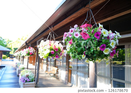 暫停播種機 暫停播種機 126178670
