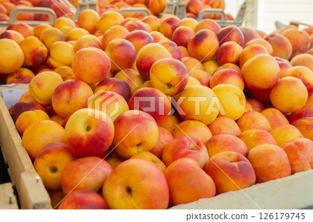 Heap of nectarines at a local organic farmers market. Colorful display of local market Heap of nectarines at a local organic farmers market. Colorful display of local market 126179745