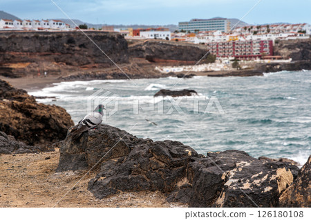 From the coast of San Borondonon the island of Gran Canaria, Canary Islands 126180108