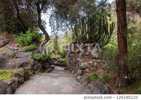Botanical garden Jardin Botanico Viera y Clavijo, Gran Canaria, Canary Islands Botanical garden Jardin Botanico Viera y Clavijo, Gran Canaria, Canary Islands 126180120