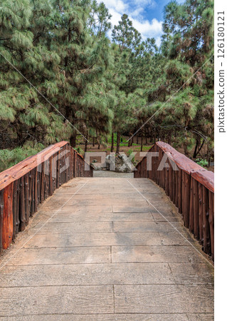 Botanical garden Jardin Botanico Viera y Clavijo, Gran Canaria, Canary Islands 126180121