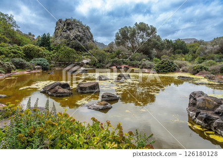 Botanical garden Jardin Botanico Viera y Clavijo, Gran Canaria, Canary Islands Botanical garden Jardin Botanico Viera y Clavijo, Gran Canaria, Canary Islands 126180128